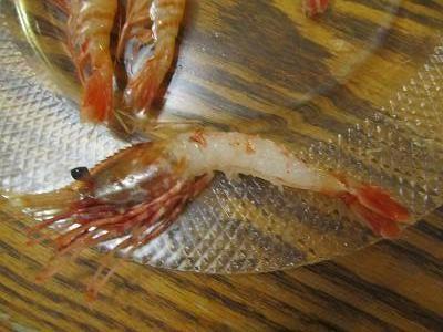 刺身用ぼたん海老2