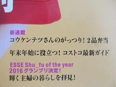 ESSE2017年新年特大号3
