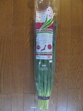 2017_6_24に買ったもの12