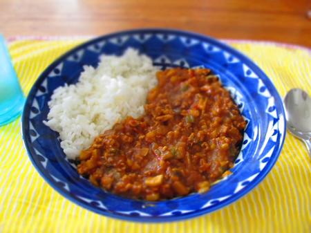 夏らしいキーマカレー