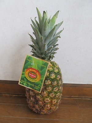 2019_1_5に買ったもの4