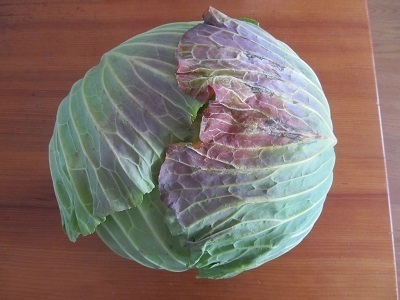 2019_2_21に買ったもの1