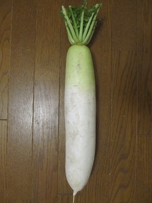 2019_3_2に買ったもの3