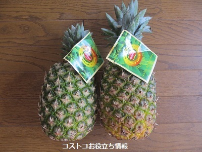 2020_4_15に買ったもの1