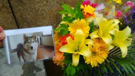 ゴージャスな花束2